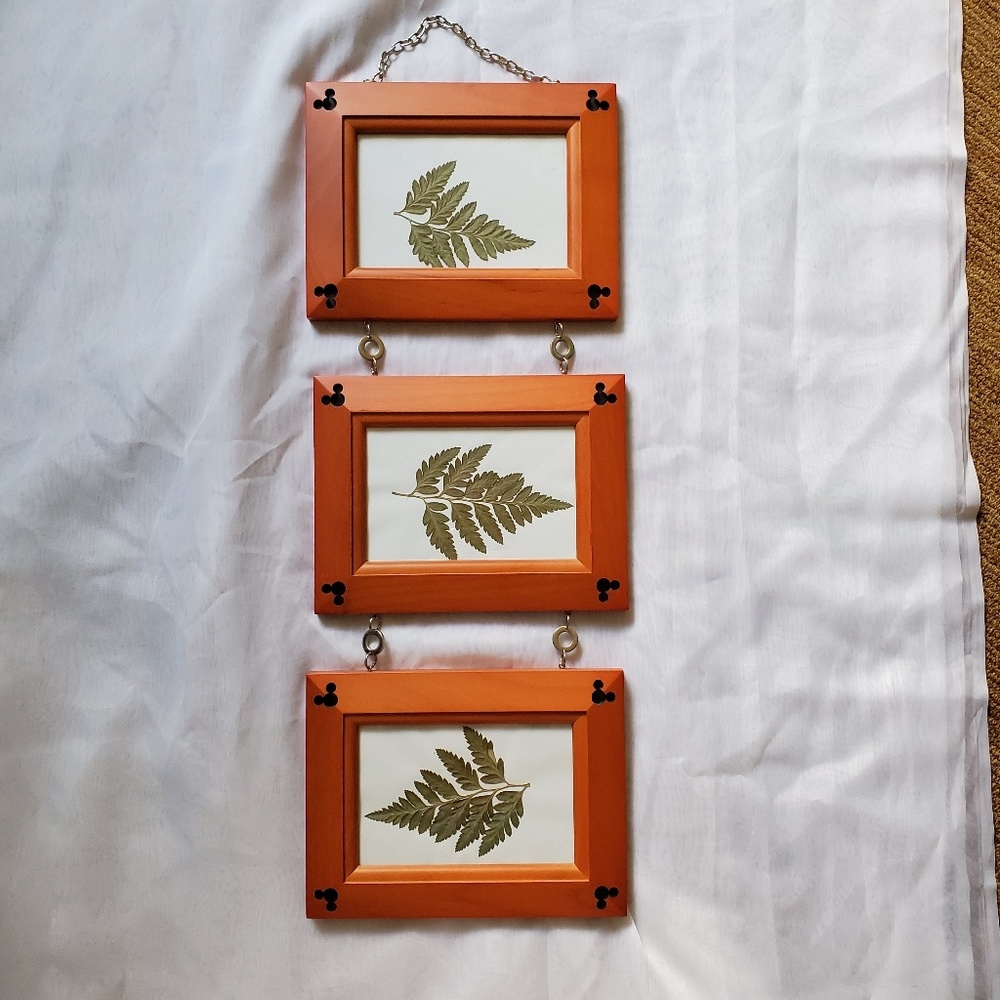 Authentic Disney Parks Hanging Photo Frames